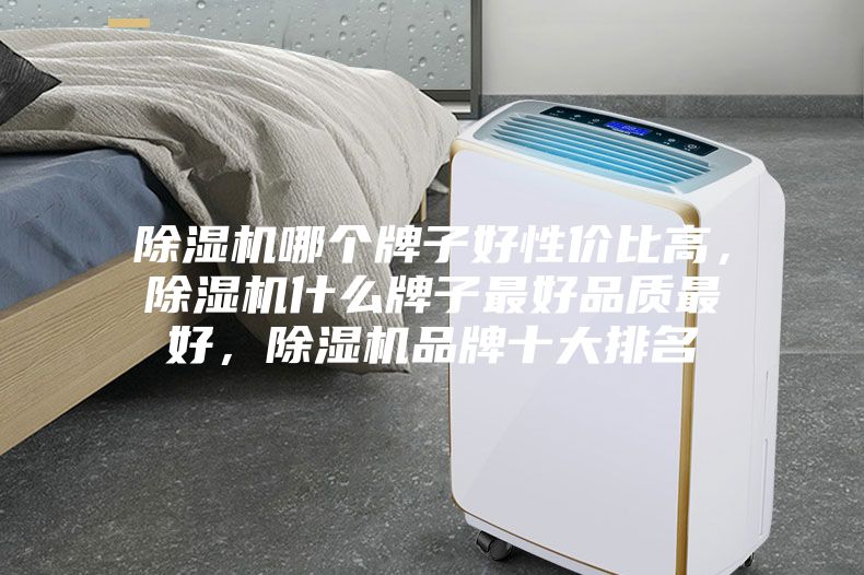 除濕機哪個牌子好性價比高，除濕機什么牌子最好品質(zhì)最好，除濕機品牌十大排名