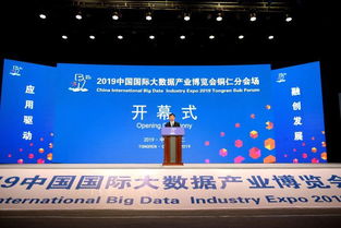 2019中國(guó)國(guó)際大數(shù)據(jù)產(chǎn)業(yè)博覽會(huì)銅仁分會(huì)場(chǎng)開(kāi)幕 共繪“智慧銅仁”新藍(lán)圖